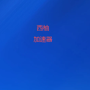 全球200+机场节点