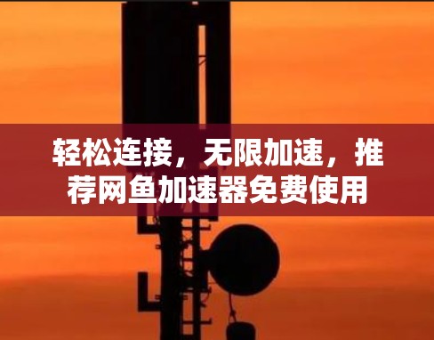 轻松连接,无限加速,推荐网鱼加速器免费使用 轻松连接,无限加速,推荐网鱼加速器免费使用