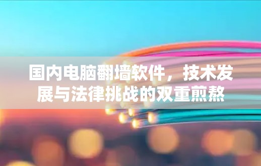 国内电脑<strong>翻墙</strong>软件，技术发展与法律挑战的双重煎熬