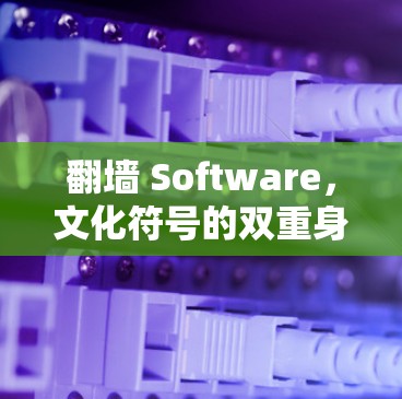 翻墙 Software,文化符号的双重身份 翻墙 Software,文化符号的双重身份