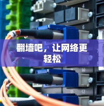 翻墙吧,让网络更轻松 翻墙吧,让网络更轻松