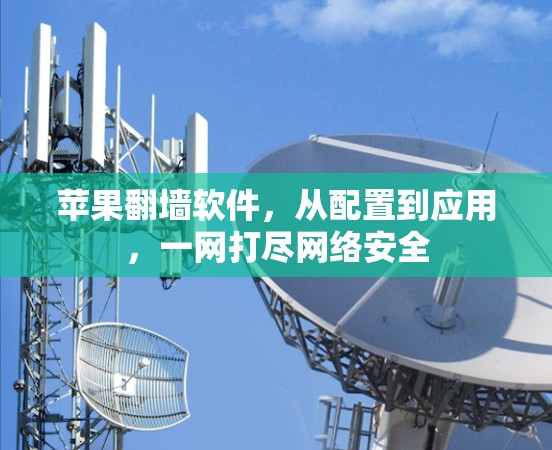 苹果翻墙软件，从配置到应用，一网打尽网络安全