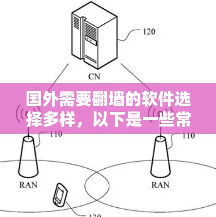 国外需要翻墙的软件选择多样，以下是一些常见的选项，每种软件都有其独特的优势和适用场景