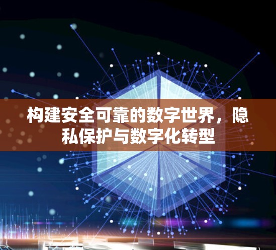 构建安全可靠的数字世界，隐私保护与数字化转型