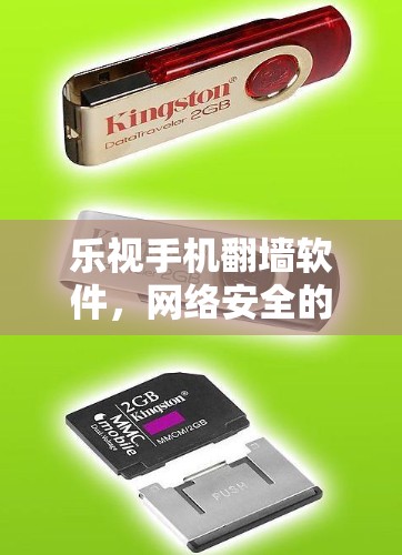 乐视手机翻墙软件，网络安全的高科技守护