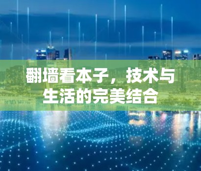 翻墙看本子，技术与生活的完美结合