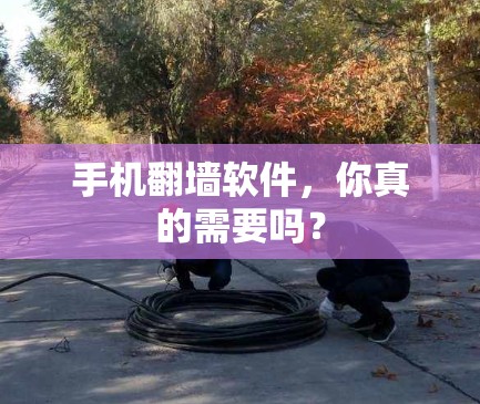 手机翻墙软件，你真的需要吗？