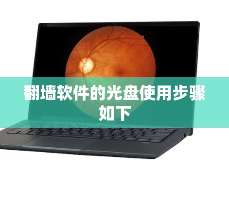翻墙软件的光盘使用步骤如下