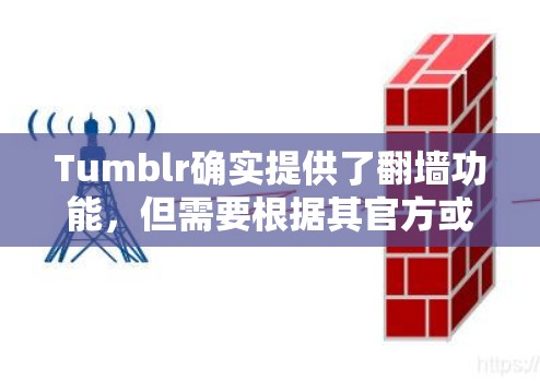 Tumblr确实提供了翻墙功能，但需要根据其官方或相关平台提供的信息进行操作。以下是具体的步骤和可能的翻墙方式