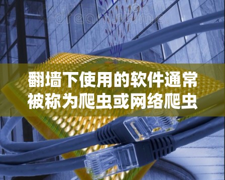 翻墙下使用的软件通常被称为爬虫或网络爬虫工具，这些工具可以帮助你抓取、分析或测试网络上的内容。以下是一些常见的爬虫软件下载
