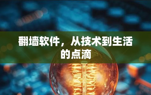 翻墙软件，从技术到生活的点滴