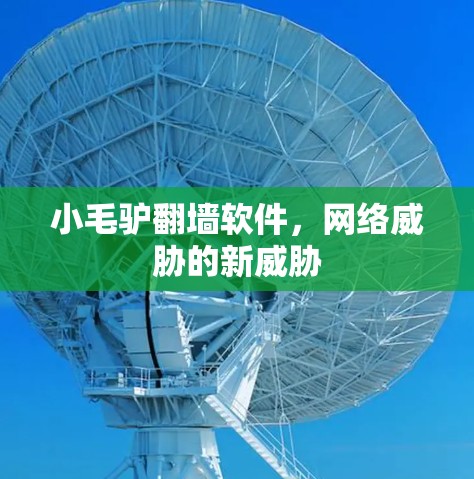 小毛驴翻墙软件，网络威胁的新威胁