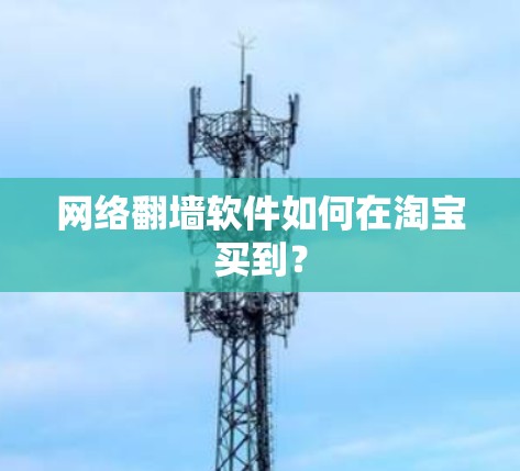 网络翻墙软件如何在淘宝买到？