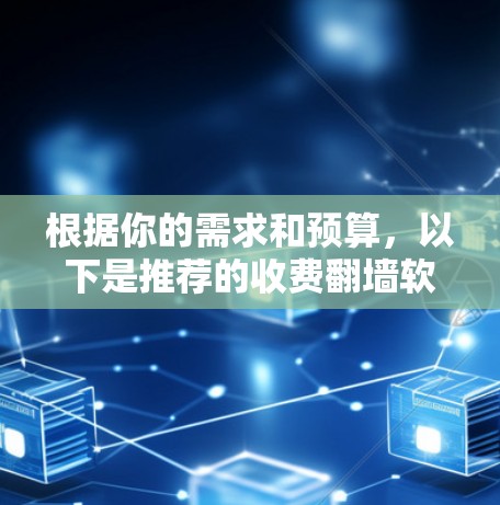 根据你的需求和预算，以下是推荐的收费翻墙软件的总结