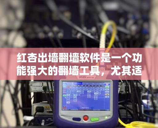 红杏出墙翻墙软件是一个功能强大的翻墙工具，尤其适合需要在不同语言或设备上进行网络翻墙的用户。以下是对该软件的详细介绍