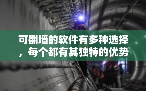 可翻墙的软件有多种选择，每个都有其独特的优势和功能，适合不同需求的用户。以下是几种常见的可翻墙软件及其特点