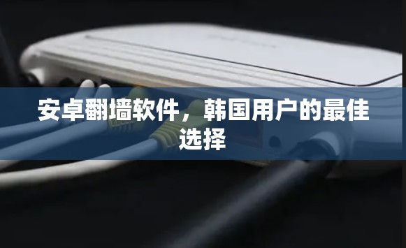 安卓翻墙软件，韩国用户的最佳选择