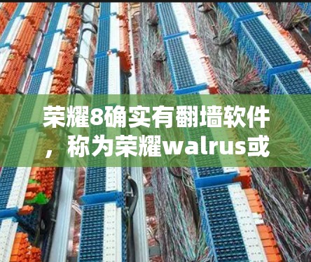 荣耀8确实有翻墙软件，称为荣耀walrus或翻墙软件。这个软件允许用户将荣耀8手机上的应用和数据复制到其他设备上。用户可以通过以下步骤使用该软件
