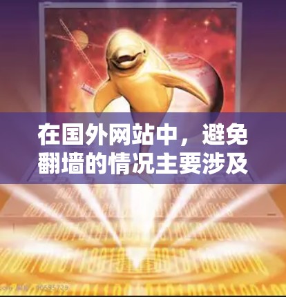 在国外网站中，避免翻墙的情况主要涉及内部访问控制机制。以下是对这种情况的详细分析