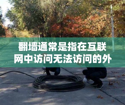 翻墙通常是指在互联网中访问无法访问的外部网络，例如通过VPN、防火墙或其他技术手段。如果您的软件需要通过翻墙才能使用，通常情况下，以下几种情况可能会发生