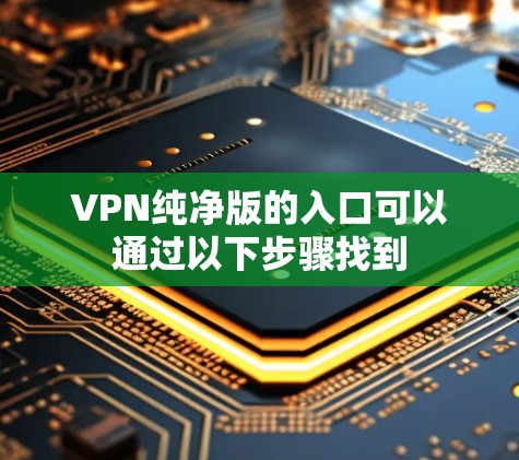 VPN纯净版的入口可以通过以下步骤找到