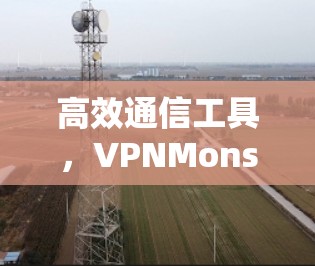 高效通信工具，VPNMonster最新版下载客户端介绍