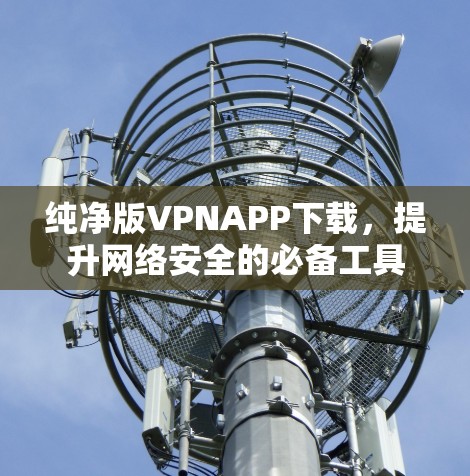 纯净版VPNAPP下载,提升网络安全的必备工具 纯净版VPNAPP下载,提升网络安全的必备工具