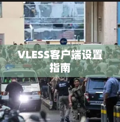 VLESS客户端设置指南