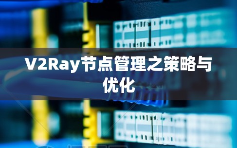 V2Ray节点管理之策略与优化