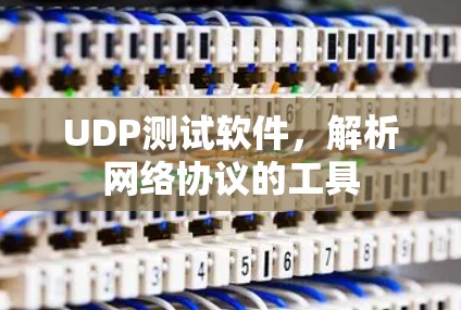 UDP测试软件,解析网络协议的工具 UDP测试软件,解析网络协议的工具