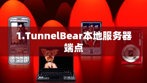 1.TunnelBear本地服务器端点