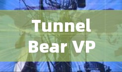 TunnelBear VPN，安全且高效的安卓版VPN解决方案