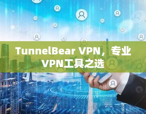 TunnelBear VPN，专业VPN工具之选