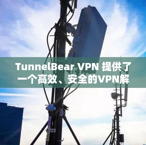 TunnelBear VPN 提供了一个高效、安全的VPN解决方案，尤其适合那些希望在不同地区的VPN服务之间切换。以下是对 TunnelBear VPN 线路稳定性和安全性的详细分析