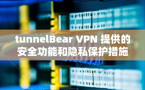 tunnelBear VPN 提供的安全功能和隐私保护措施详细说明如下
