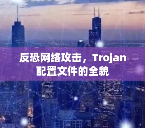 反恐网络攻击，Trojan配置文件的全貌