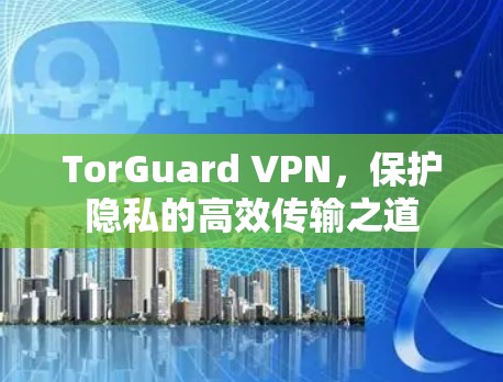 TorGuard VPN，保护隐私的高效传输之道