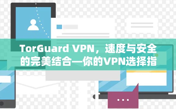 TorGuard VPN，速度与安全的完美结合—你的VPN选择指南