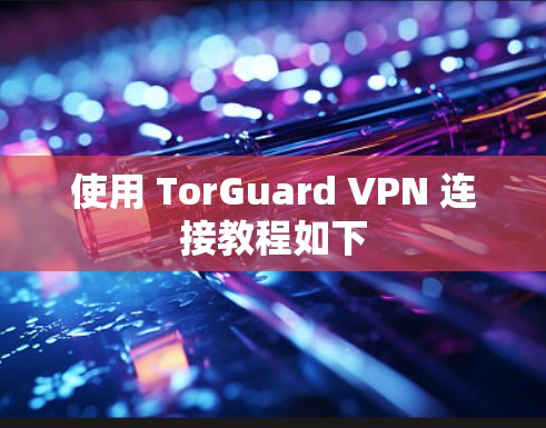使用 TorGuard VPN 连接教程如下