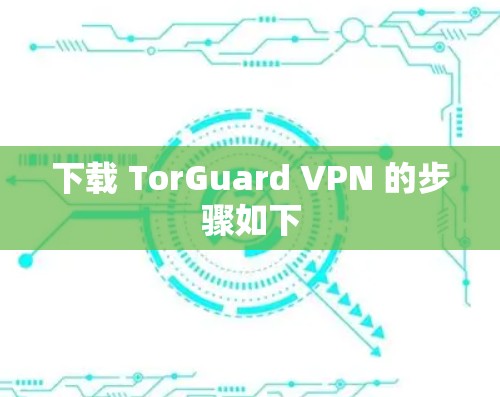 下载 TorGuard VPN 的步骤如下