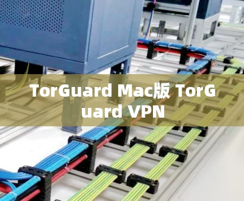 TorGuard Mac版 TorGuard VPN