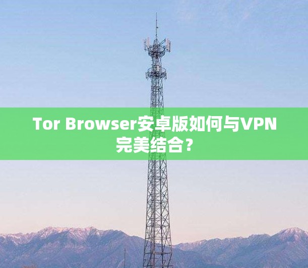Tor Browser安卓版如何与VPN完美结合? Tor Browser安卓版如何与VPN完美结合?