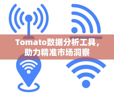 Tomato数据分析工具，助力精准市场洞察