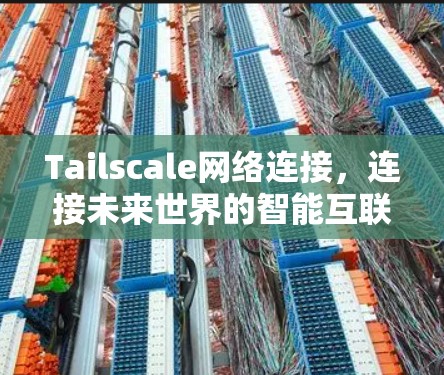 Tailscale网络连接,连接未来世界的智能互联解决方案 Tailscale网络连接,连接未来世界的智能互联解决方案