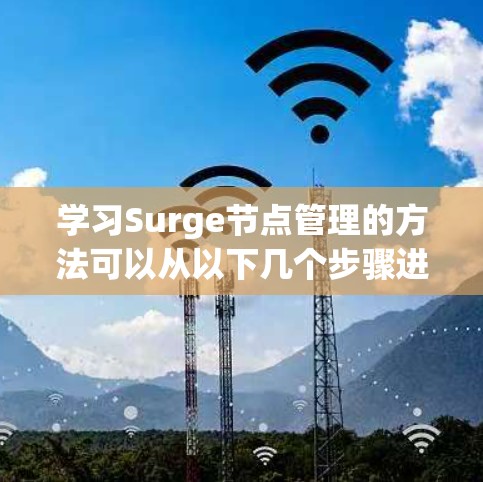 学习Surge节点管理的方法可以从以下几个步骤进行