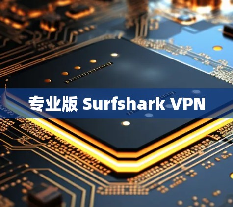 专业版 Surfshark VPN
