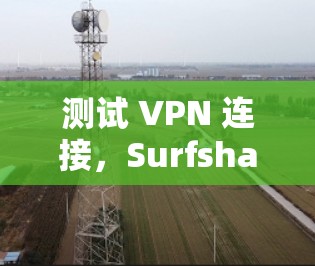 测试 VPN 连接，Surfshark VPN 网络检测与防护指南