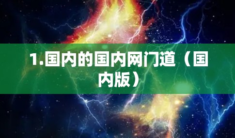 1.国内的国内网门道（国内版）
