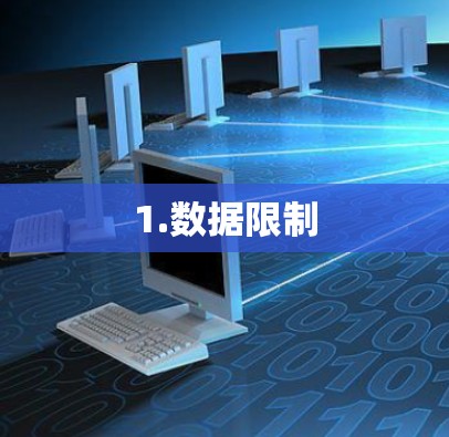 1.数据限制
