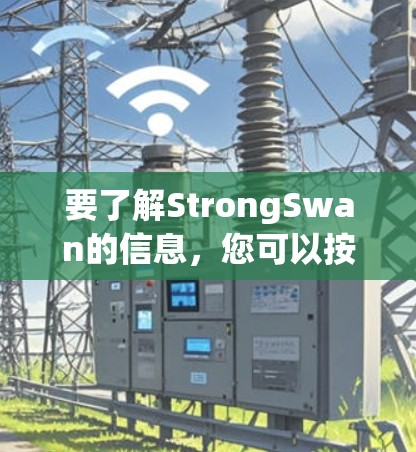 要了解StrongSwan的信息，您可以按照以下步骤进行